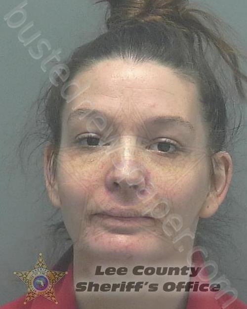 JOY, JACQUELINE MARIE #, Lee County, Florida - 2020-12-07 16:19:00
