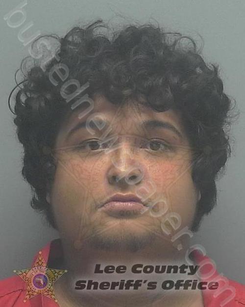 SERNA, SAUL #, Lee County, Florida - 2020-12-07 20:43:00