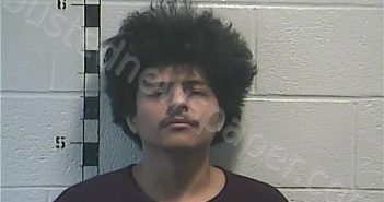 RODRIGUEZ, ADRIAN RAMIREZ | 2020-12-08 00:30:00 Shelby County, Kentucky Booking