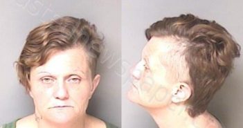 <B>HAYES</B>, <B>BRANDY</B> ELAINE #, Gaston County, North Carolina - 2020-12-08 15:18:00