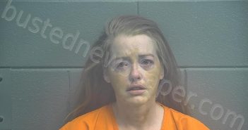 MARTIN, KELLY SUE | 2020-12-10 16:08:00 Scott County, Kentucky Booking