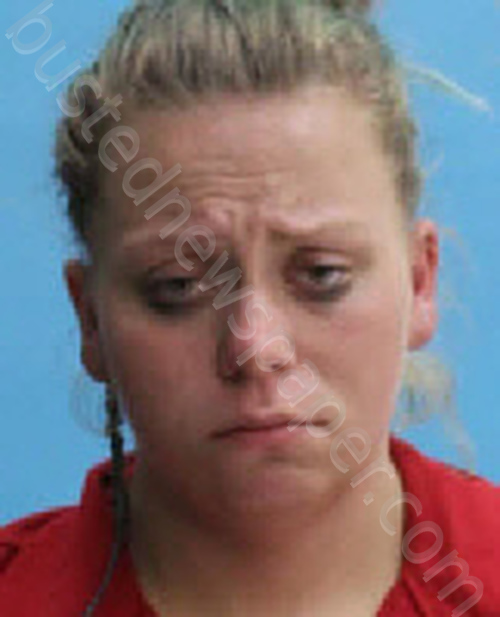 PARKER, TONYA NICOLE #, Desoto County, Florida - 2020-12-10 15:38:00