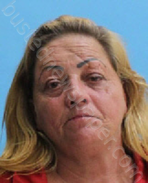 BALLARD, AMY SUE #, Desoto County, Florida - 2020-12-10 14:50:00