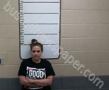 MEGAN MARSHALL | 2020-12-11 14:45:00 Morgan County, Tennessee Booking