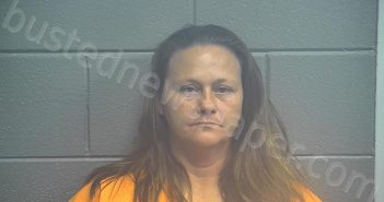 STACY, VICKIE LYNN | 2020-12-11 23:08:00 Scott County, Kentucky Booking
