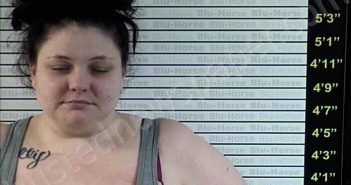 HAYES, NANCY | 2020-12-11 Graves County, Kentucky Booking