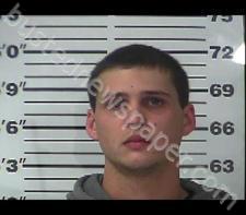 COLTON TRIMMER #, Gibson County, Tennessee - 2020-12-11 18:28:00