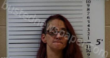 WALDROUP, PATRICA ANN | 2020-12-11 15:07:00 Cherokee County, North Carolina Booking