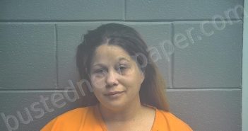 WAGERS, SAMANTHA LYNN | 2020-12-12 15:45:00 Scott County, Kentucky Booking