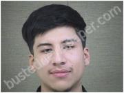 PEREZ, JOSUE | 2020-12-12 Harnett County, North Carolina Booking