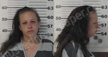 HALL, TESHIA MICHELLE | 2020-12-15 Henderson County, Texas Booking