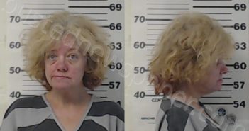 WHISENHUNT, TANYA DENISE | 2020-12-15 Henderson County, Texas Booking