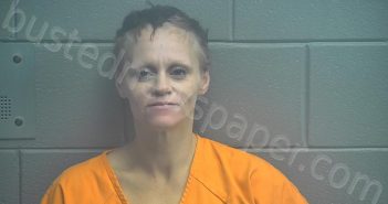 VINCENT, REGINA BROOKE | 2020-12-15 14:57:00 Scott County, Kentucky Booking