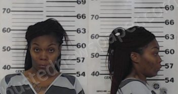 POLLOCK, LASHANDA DENISE | 2020-12-15 Henderson County, Texas Booking