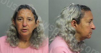 LARQUIN, JANETTE | 2020-12-16 21:46:00 Miami-Dade County, Florida Booking