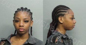 LUCDOR, ESTMANEE ALEXIS | 2020-12-17 23:35:00 Miami-Dade County, Florida Booking