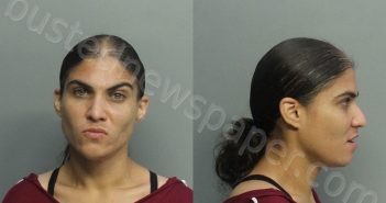 CRESPO, MARIA Y | 2020-12-17 18:35:00 Miami-Dade County, Florida Booking