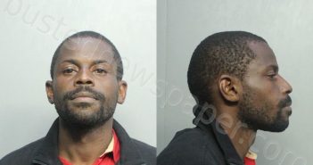 SKINNER, HERMAN RANGE | 2020-12-17 18:45:00 Miami-Dade County, Florida Booking