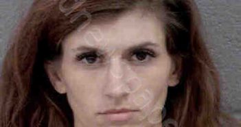 <B>WHEELER</B>, <B>REISE</B> <B>ELIZABETH</B> #, Mecklenburg County, North Carolina - 2020-12-18 00:47:00