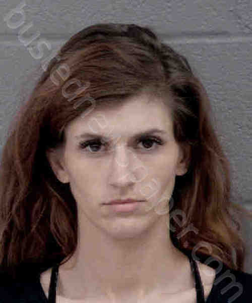 WHEELER, REISE ELIZABETH #, Mecklenburg County, North Carolina - 2020-12-18 00:47:00