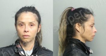 SIMS-RIERA, CHANTEL | 2020-12-18 01:56:00 Miami-Dade County, Florida Booking