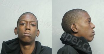 BRIGHT, MARVIN | 2020-12-18 03:38:00 Miami-Dade County, Florida Booking
