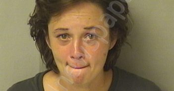 SABATINO, BRYANNA MICHEL | 2020-12-20 09:15:00 Wood County, West Virginia Booking