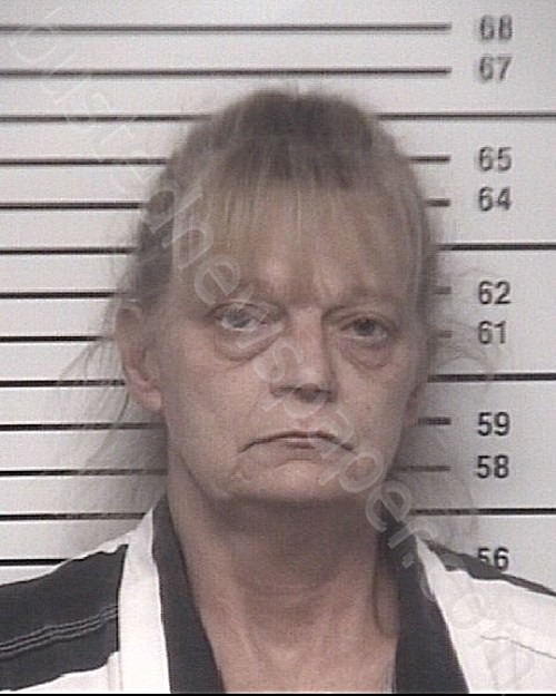 TOLER, TAMMY L #, Iredell County, North Carolina - 2020-12-20 15:30:00