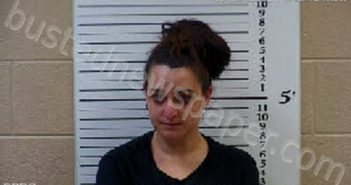 WARD, ASHLEY NICOLE | 2020-12-21 18:08:00 Cherokee County, North Carolina Booking