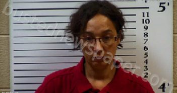 ELKINS, INES SUE | 2020-12-21 04:43:00 Cherokee County, North Carolina Booking