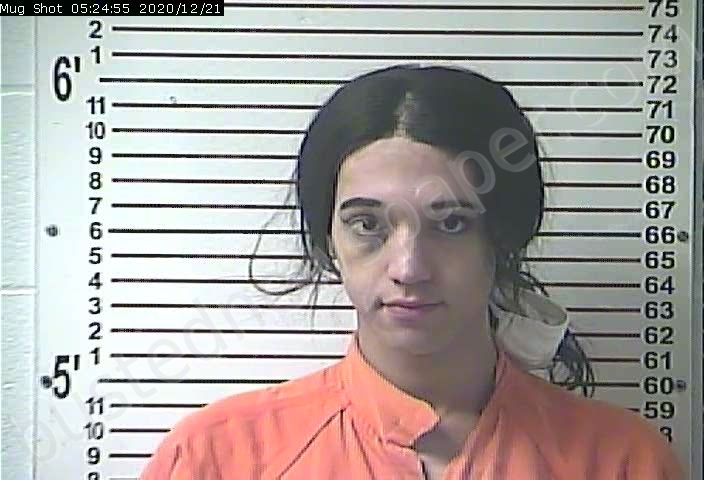 HODGE, DAYMEN TERRELL #, Hardin County, Kentucky - 2020-12-21 02:44:00