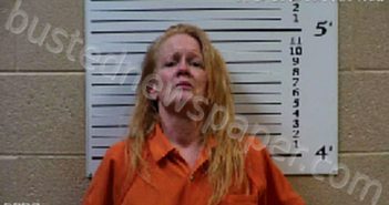 SCOGIN, NATALIE LYNN | 2020-12-21 18:11:00 Cherokee County, North Carolina Booking