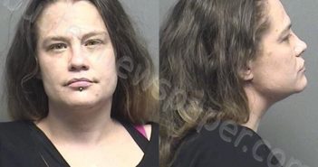 WILKINSON,ALICIA RENE | 2020-12-22 22:52:00 Saline County, Kansas Booking