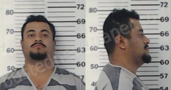 <B>MARTINEZ</B>, <B>SERGIO</B> ROBERTO #, Henderson County, Texas - 2020-12-23