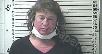 BELL, TIFFANY DENISE | 2020-12-23 20:57:00 Hardin County, Kentucky Booking