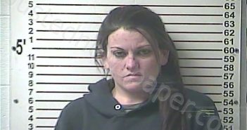 NOOGLE, JESSICA TAYLOR | 2020-12-23 02:08:00 Hardin County, Kentucky Booking