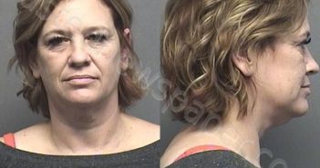 KLEINSCHMIDT,MICHELLE ELIZABETH | 2020-12-24 21:00:00 Saline County, Kansas Booking