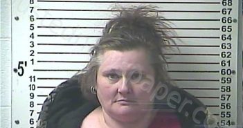 FOUNTAIN, DEBRA MICHELE | 2020-12-25 04:00:00 Hardin County, Kentucky Booking