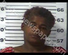 ROSA COX | 2020-12-26 14:08:00 Gibson County, Tennessee Booking