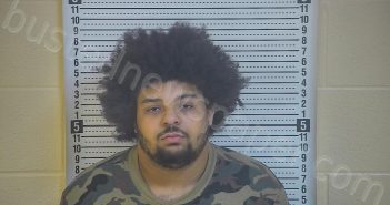 LANE, JAMES | 2020-12-27 14:10:00 Taylor County, Kentucky Booking