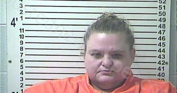 SANDLIN, MELISSA KAY | 2020-12-27 17:03:00 Hardin County, Kentucky Booking
