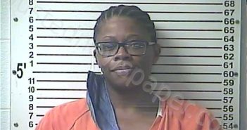 WRIGHT, GWENDOLYN LATASHA | 2020-12-28 12:30:00 Hardin County, Kentucky Booking