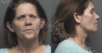 KRAFT,TERRILYN JEAN | 2020-12-28 00:47:00 Saline County, Kansas Booking