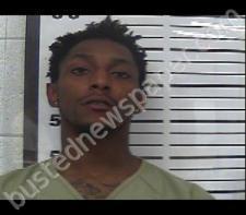 ZACCHEUS BROOKS #, Gibson County, Tennessee - 2020-12-28 16:48:00