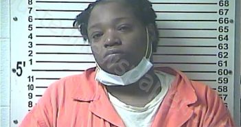 JOHNSON, JACQUEL JEANNE | 2020-12-28 13:00:00 Hardin County, Kentucky Booking