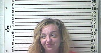 KINNEY, AMBER NICOLE | 2020-12-28 12:30:00 Hardin County, Kentucky Booking