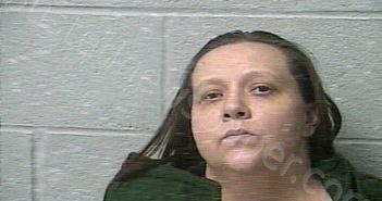 GOMEZ, JESSICA LEANN | 2020-12-29 23:08:00 Marshall County, Tennessee Booking