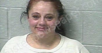 HULL, WENDY LYNN | 2020-12-29 21:56:00 Marshall County, Tennessee Booking