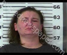 JULIE EDIE | 2020-12-29 09:53:00 Gibson County, Tennessee Booking