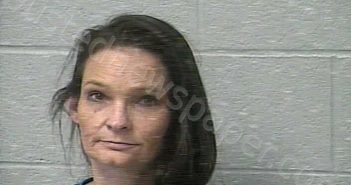 JONES, HEATHER RENEE | 2020-12-29 11:01:00 Marshall County, Tennessee Booking